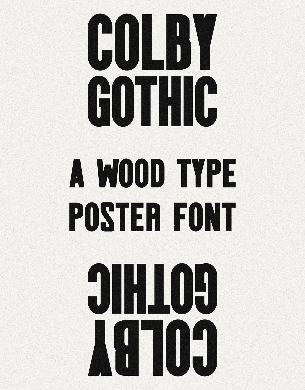 Colby Gothic specimen